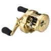 Shimano Calcutta Conquest 301 A -Visvangst Winkel.com calcutta 1