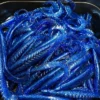 Gators Electric Blue (100stuks) -Visvangst Winkel.com electric Bleu