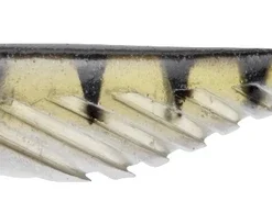 Berkley PowerBait Ripple Shad 9 Cm. 11 Berkley PowerBait Ripple Shad 9 Cm. -Visvangst Winkel.com products file 5549