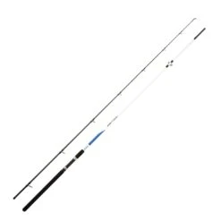 Mitchell Riptide SeaBass 3.30m 60-120gr