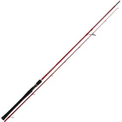 TENRYU DRAGON EXPRESS { 2,90 M 20-60 Gr }